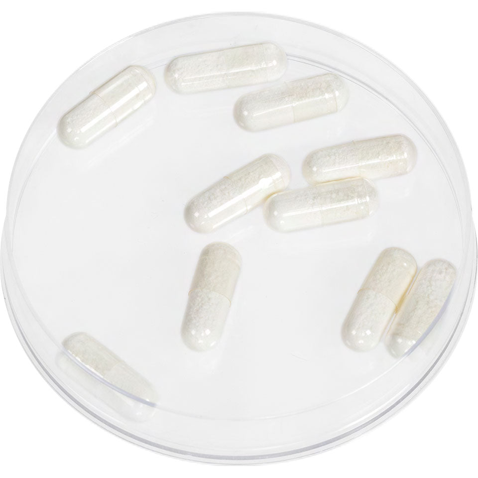 Cápsulas de Espuma - 10 Unidades Kryolan – imagem oficial 2