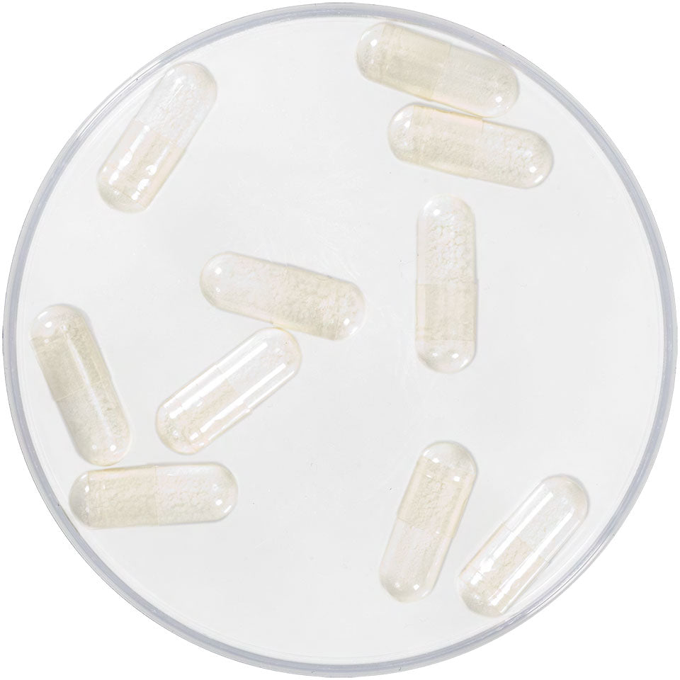 Cápsulas de Espuma - 10 Unidades Kryolan – imagem oficial 3